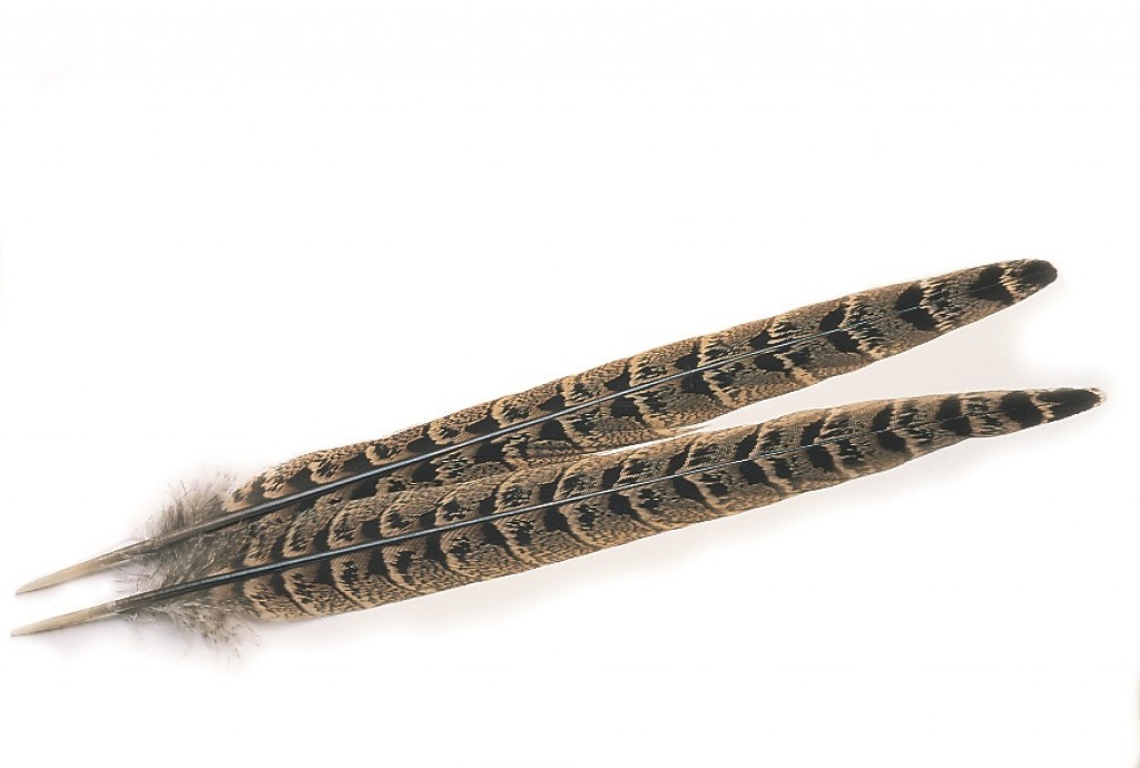 VENIARD HEN PHEASANT CENTER TAILS 